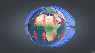 Circulation Cells