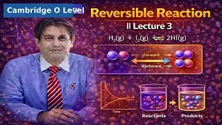 Reversible Reaction || Lecture 1