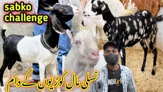 Usman kam kimat Mein sab kuchh challenge 😱,| 29-Dec-2025| mandi se saste 🔥💯