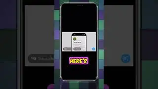 How To Use Live Text In A Photo Or Video On iPhone #shorts
