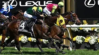 What to expect from this year&rsquo;s Melbourne Cup | Herald NOW