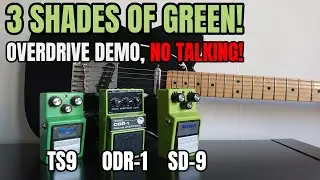 TS-9 vs ODR-1 vs SD-9 The MEAN GREENIES! No talk