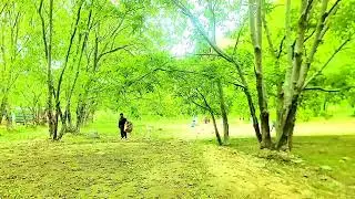 Paghman Valley | Paghman - Afghanistan | #travel #kabul #afghanistan #nature