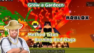 PANTANG END STREAM SEBELUM KOPI HABIS!!! GREST VS WIF!!! TRADING - GROW A GARDEN #roblox #shorts