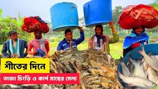 Winter Fishing | Fresh Shrimp and Carp Fishing Fair in the Village on Winter Days | Village Fish ...