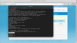 Building a Linux-Nginx-PHP Web Server in cloud VPS