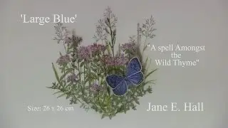 'Large Blue' original artwork by Jane E. Hall