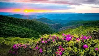 I Hiked 300 Miles Alone In The Appalachian Mountains