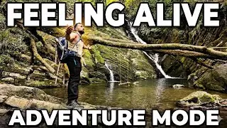 Solo Forest Hike & Workout &ndash; Resetting My Mind in Nature
