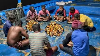 OMG! This Is Heavenly Food | 5 Varieties Of Delicious Seafood Cooking In Deep Sea