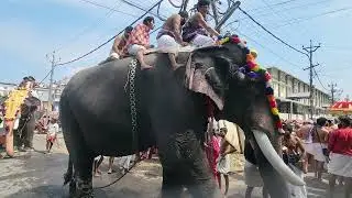 Nurani Procession #pambadirajan #thiruvanikkavu rajagopalan #kaliyarmadamsekharan