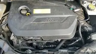 Звук мотора Ford 99X 1.6L (99X) от 2016 Ford Escape Se 1FMCU0GX3GUA59708