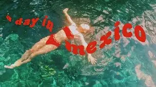 🍓The Last Bit of Our Getaway · CatCreature