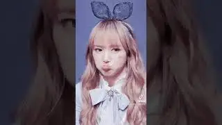 #boxiao #wangyibo #chengxiao
