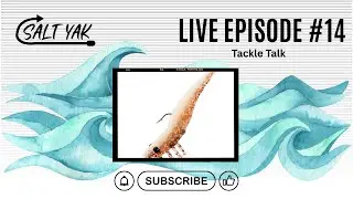 Hot Water, Slow Bite: Summer Fishing Tips, Kayak Drama & Charter Life | Salt Yak Live