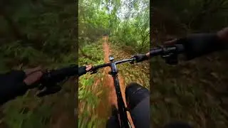 The Matrix full wet & slippery run. Timberland Mountain Bike Park #mtb #shred #sendit #trail
