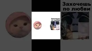 Credits:M@lyok. #МышкаЖена #zzz #zenlesszonezero  #tiktok #memes