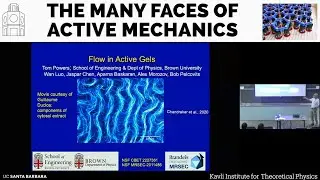 Flow in Active Gels ▸ Thomas Powers (Brown)