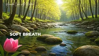 Night Time Classical Music to Help You Sleep Better Tonight