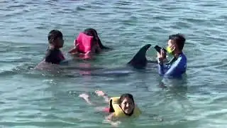 Swimming with dolphins at Subic Bay, Philippines #subicbay #philippines