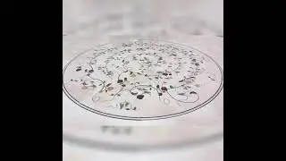 Marble Inlay Floor Designs#flooring #inlaywork #inlayflooring#inlay #floorart #floorwork