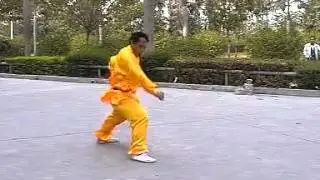Leopard form, Ha Say Fu / Ten Animal Hung Kuen