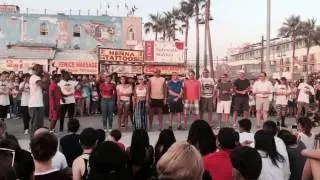 Venice Beach Street  Performers