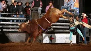 American Bucking Bull Inc. Live Stream