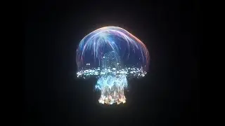 How to Make a DIY Hologram Projector! 🌌 Amazing 3D Visuals from Trash
