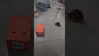 1 pound combat robot first full test #robotics #battlebots #loud