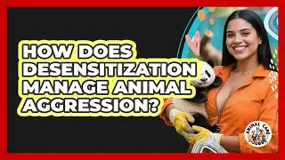 How Does Desensitization Manage Animal Aggression? - Animal Care Jobs