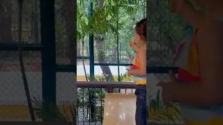 Mimi Meets the Tiger! 🐯 | Live Tiger Playtime Experience | Kids Jungle Adventure 🦁✨