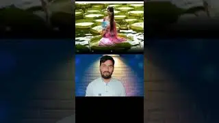 victoria water lily को पात एउटा मानिसको वजन सहन सक्छ । #water #victoria #leaf #youtube