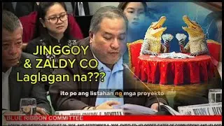 Blue Ribbon Committee Live Name Zaldy Co et al