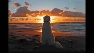 Pet Shop Boys - Leaving (Dj Giac HappySad Summer Remix)