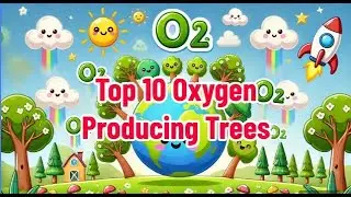 Top 10 Oxygen-Producing Trees | Which Trees Clean Our Air the Most? 🌳💨#earth #tree #oxygen #youtube