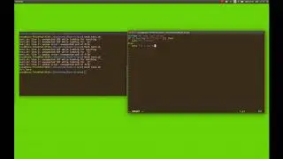 If a string contains another string Bash Scriptint Linux