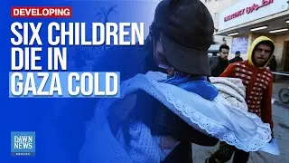 At Least Six children Die of Hypothermia in Gaza | Dawn News English