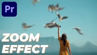 Blur Zoom Effect in 2 minute - Premiere Pro Tut