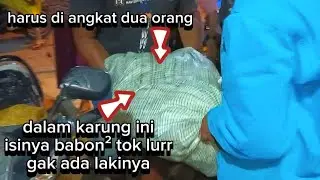 Ojo Meri ya lurr mungkin ini sudah rezekinya FAHRI dari illahi untuk keluarga FAHRI 😭😭😭🙏🙏🙏