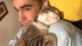When a cat loves you more than you love yourself ❤️ Funny Cats and Humans