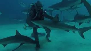 Meg Kennedy's first Open Water dive with DiveCareDare.