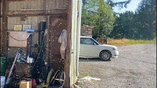 Release The Bees & brief discussion of business model mistake