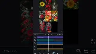Vn Template Tutorial✨ #vntutorial #templatetutorial