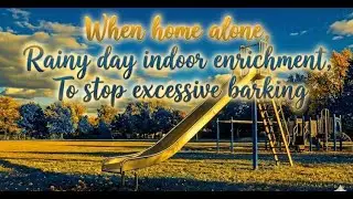 Dog TV: Squirrels, Birds & Balls &ndash; Dedicated Yellow & Blue Spectrum for Dogs !