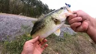 Bank Fishing at Roosevelt State Park, Morton Mississippi