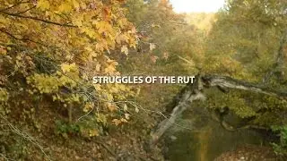 Back 40: Hunting The Rut on Small Parcels
