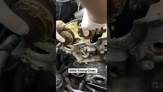 BMW TIMING CHAIN