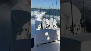 Triple Mercury V12 Verado - 600 Horsepower Outboards # Shorts