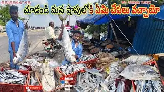 ఏమేమి చేపలు వచ్చినాయో చూడండి#penumudi #dryfish #fish #dryprawns #bigdryfish #village #villagecooking